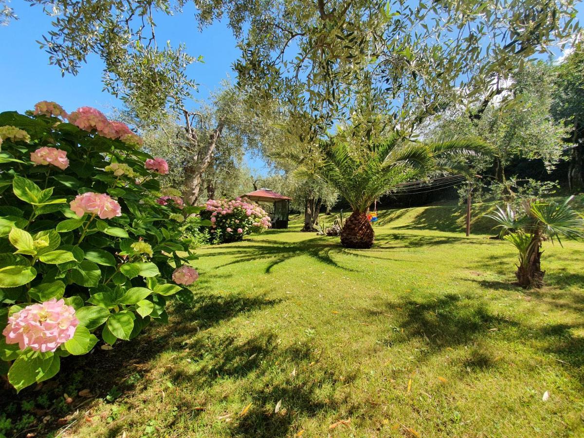 Casa Valenti Appartement Brenzone sul Garda Buitenkant foto