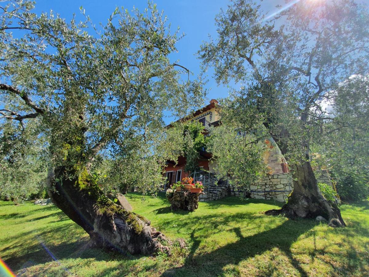 Casa Valenti Appartement Brenzone sul Garda Buitenkant foto