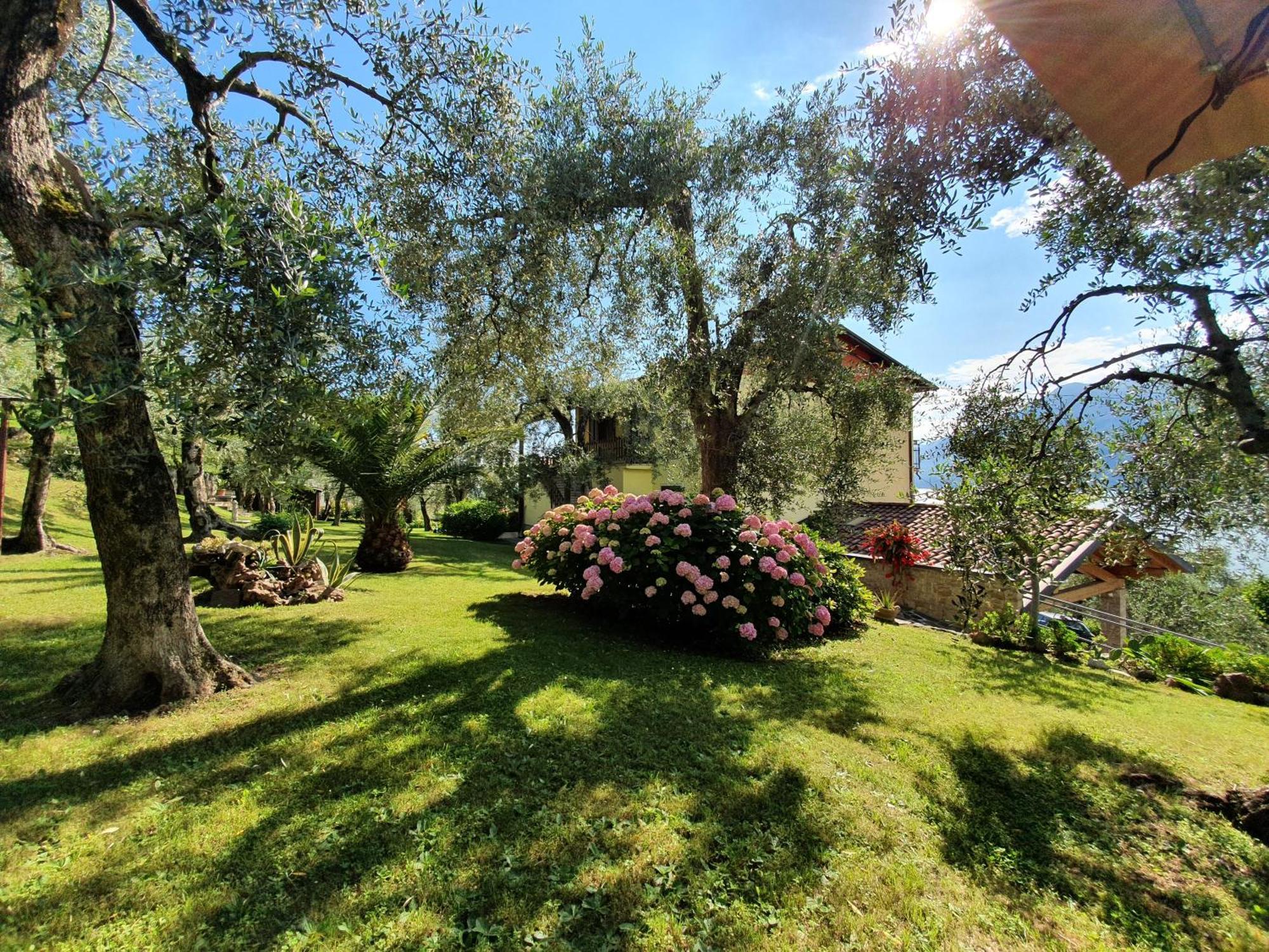 Casa Valenti Appartement Brenzone sul Garda Buitenkant foto