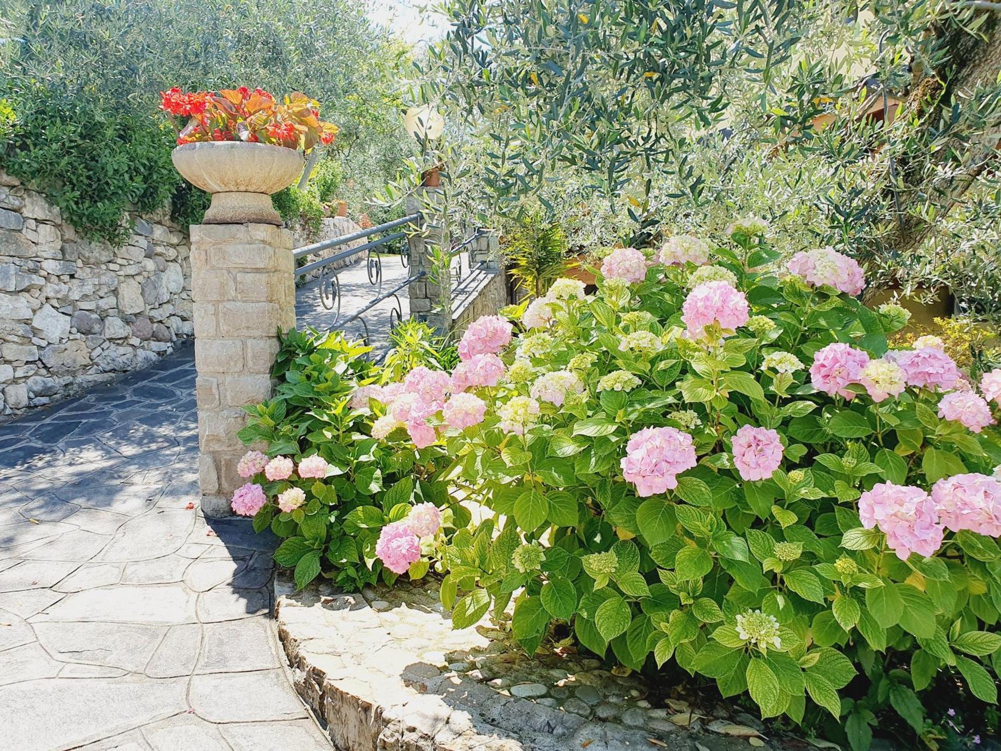 Casa Valenti Appartement Brenzone sul Garda Buitenkant foto