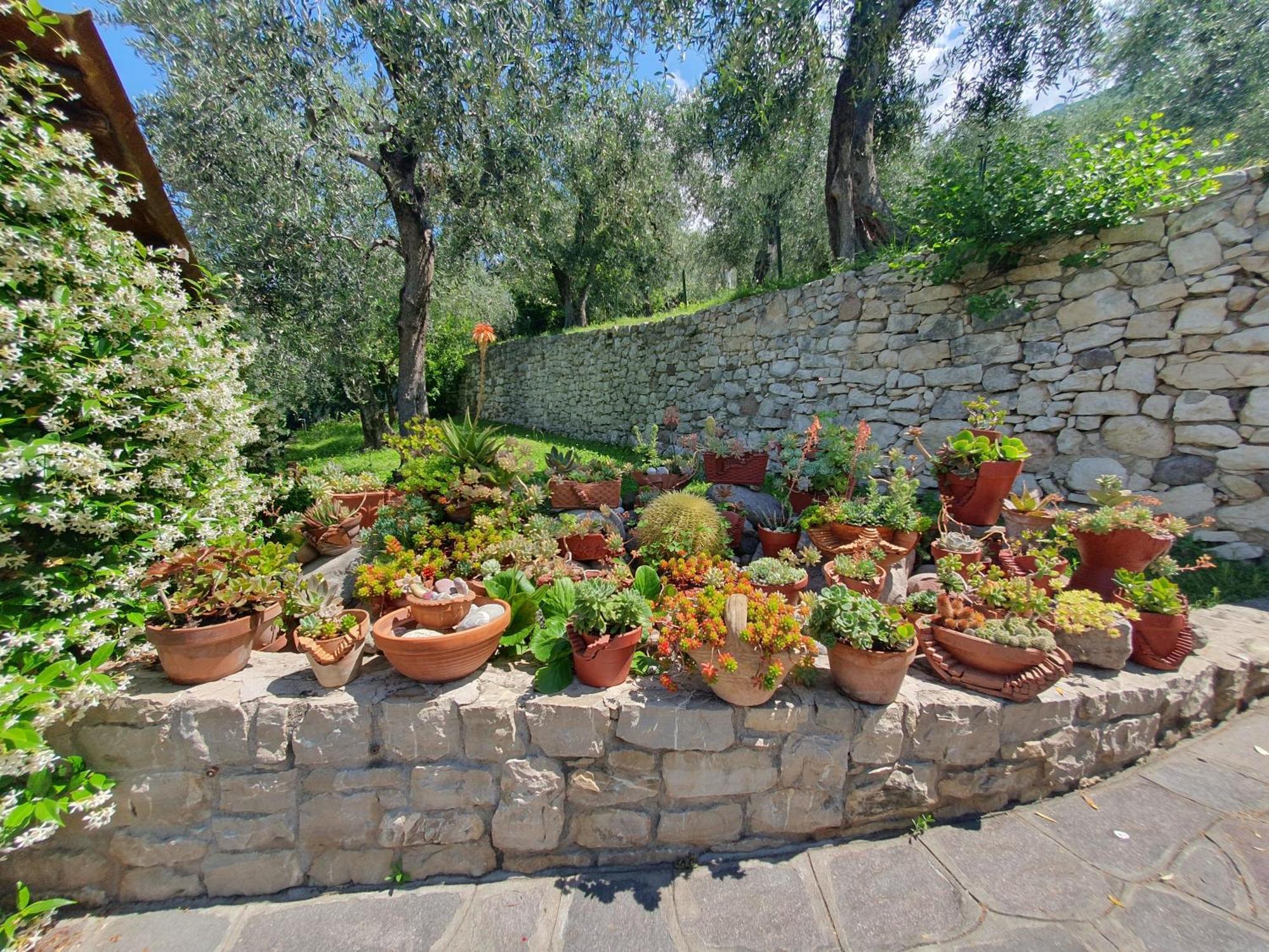 Casa Valenti Appartement Brenzone sul Garda Buitenkant foto