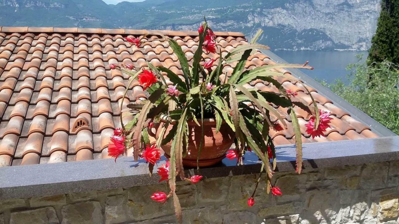 Casa Valenti Appartement Brenzone sul Garda Buitenkant foto