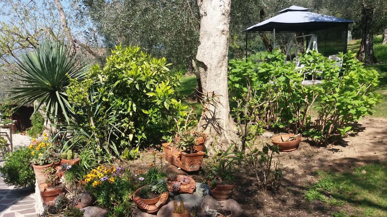 Casa Valenti Appartement Brenzone sul Garda Buitenkant foto